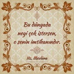 Meet your Posher, Cigdem